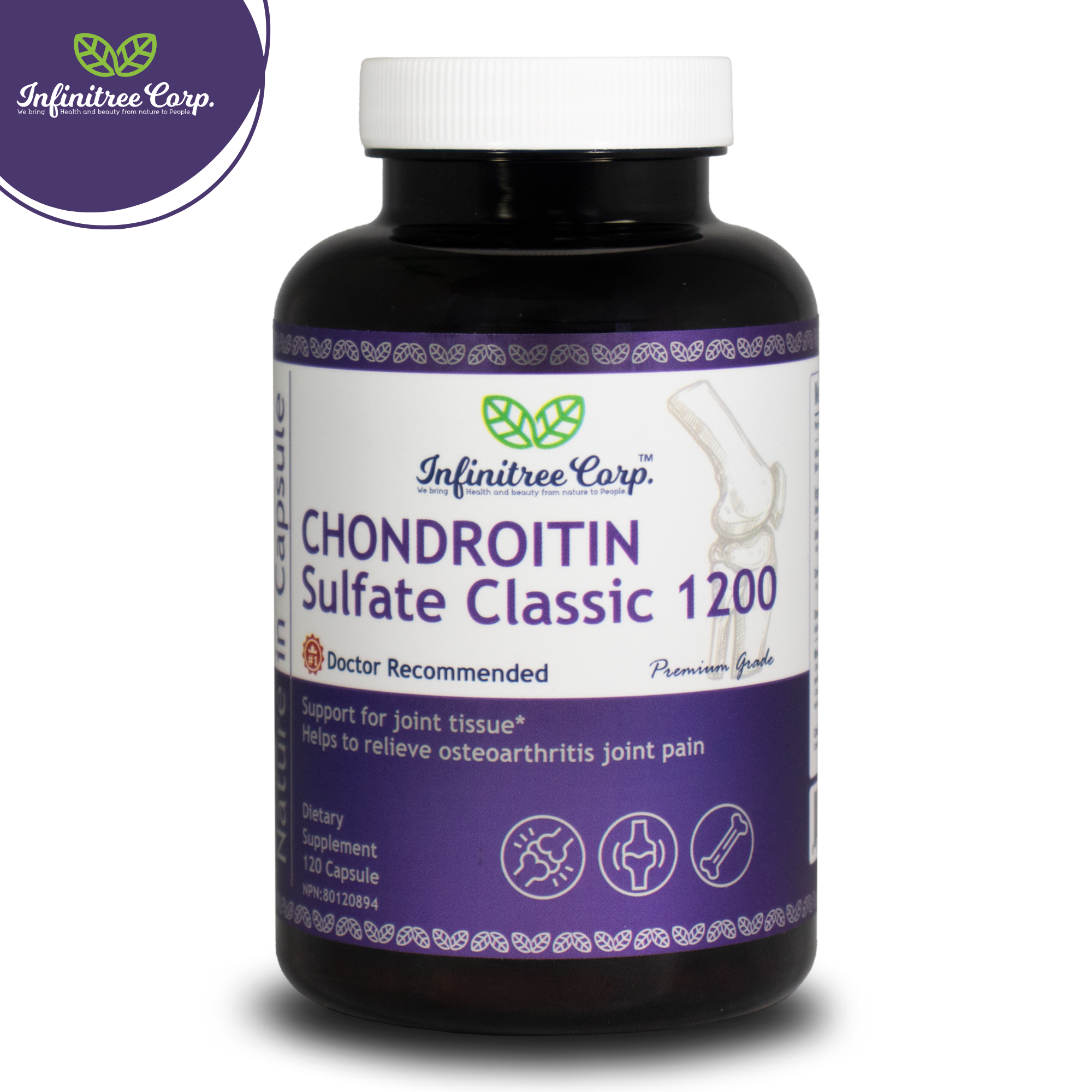 Chondroitin Sulfate Classic 1200 120 Capsules