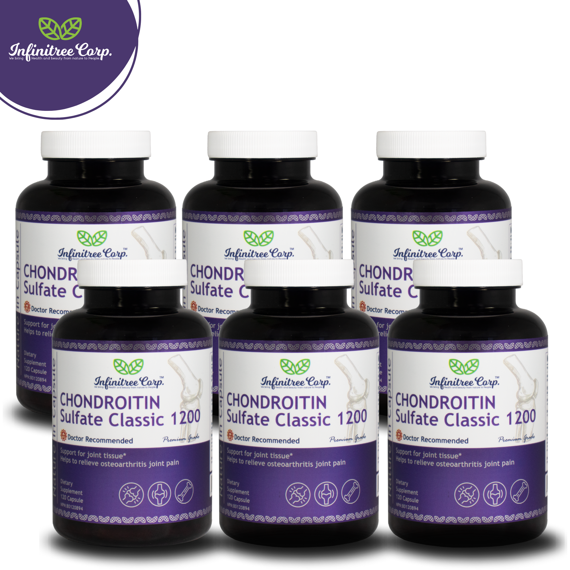 (Set of 6) Chondroitin Sulfate Classic 1200 120 Capsules